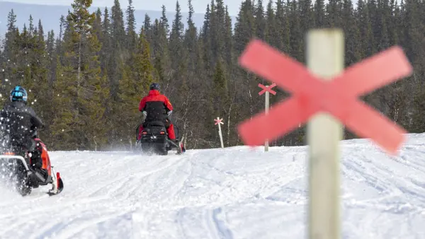 Snöskotrar på snöskoterled