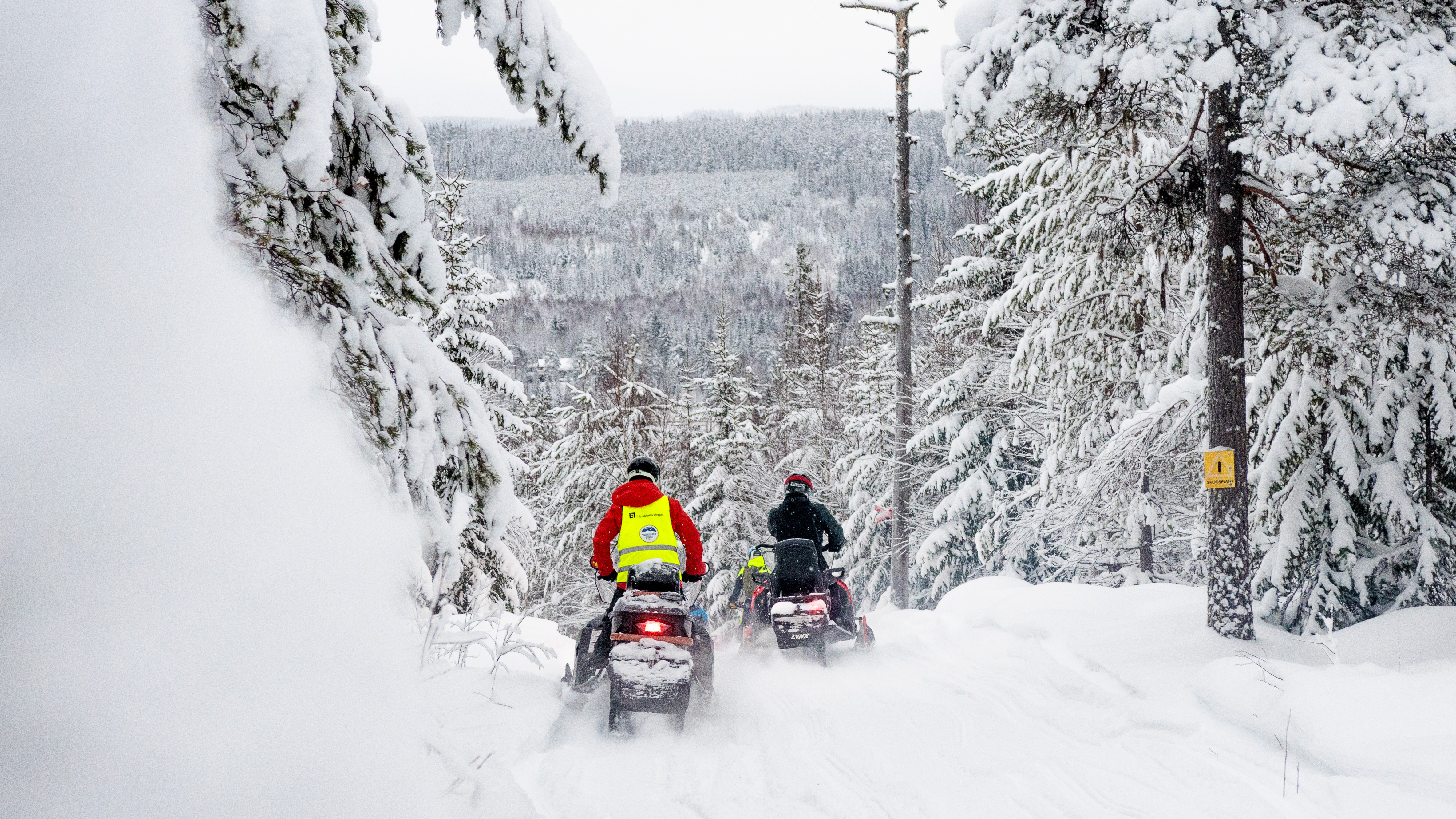 Vad krävs för att guida snöskoter?