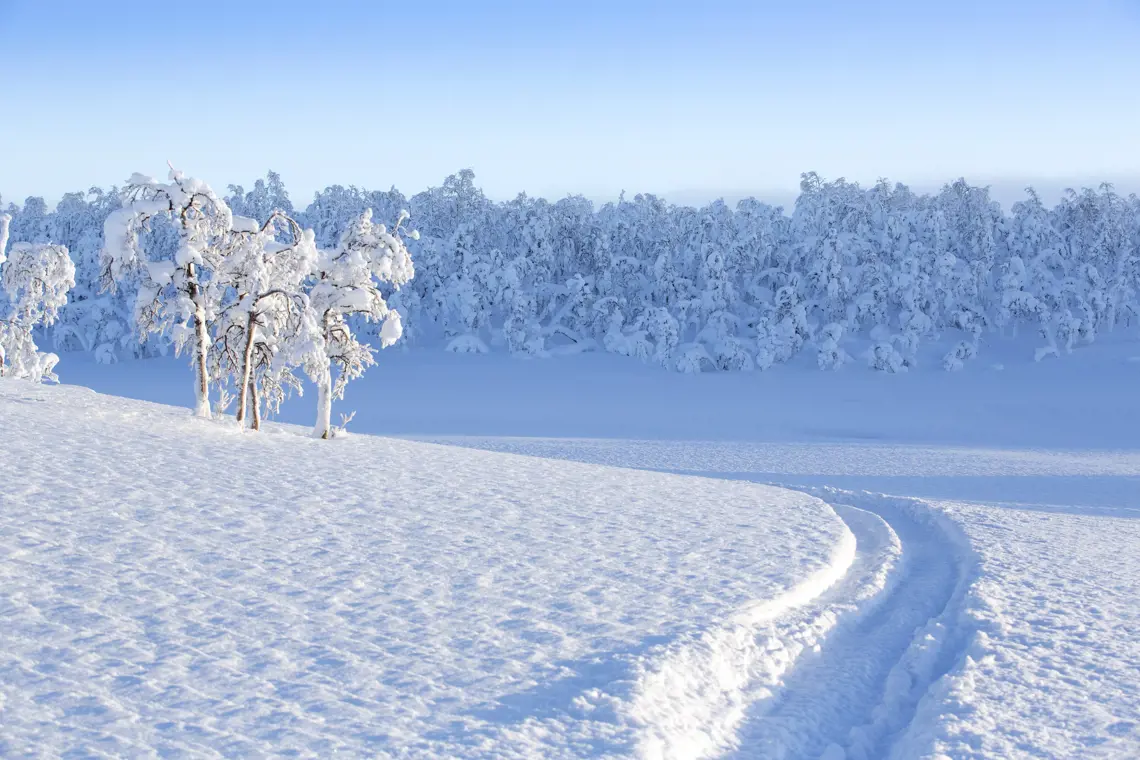 Snöskoterspår i lössnö