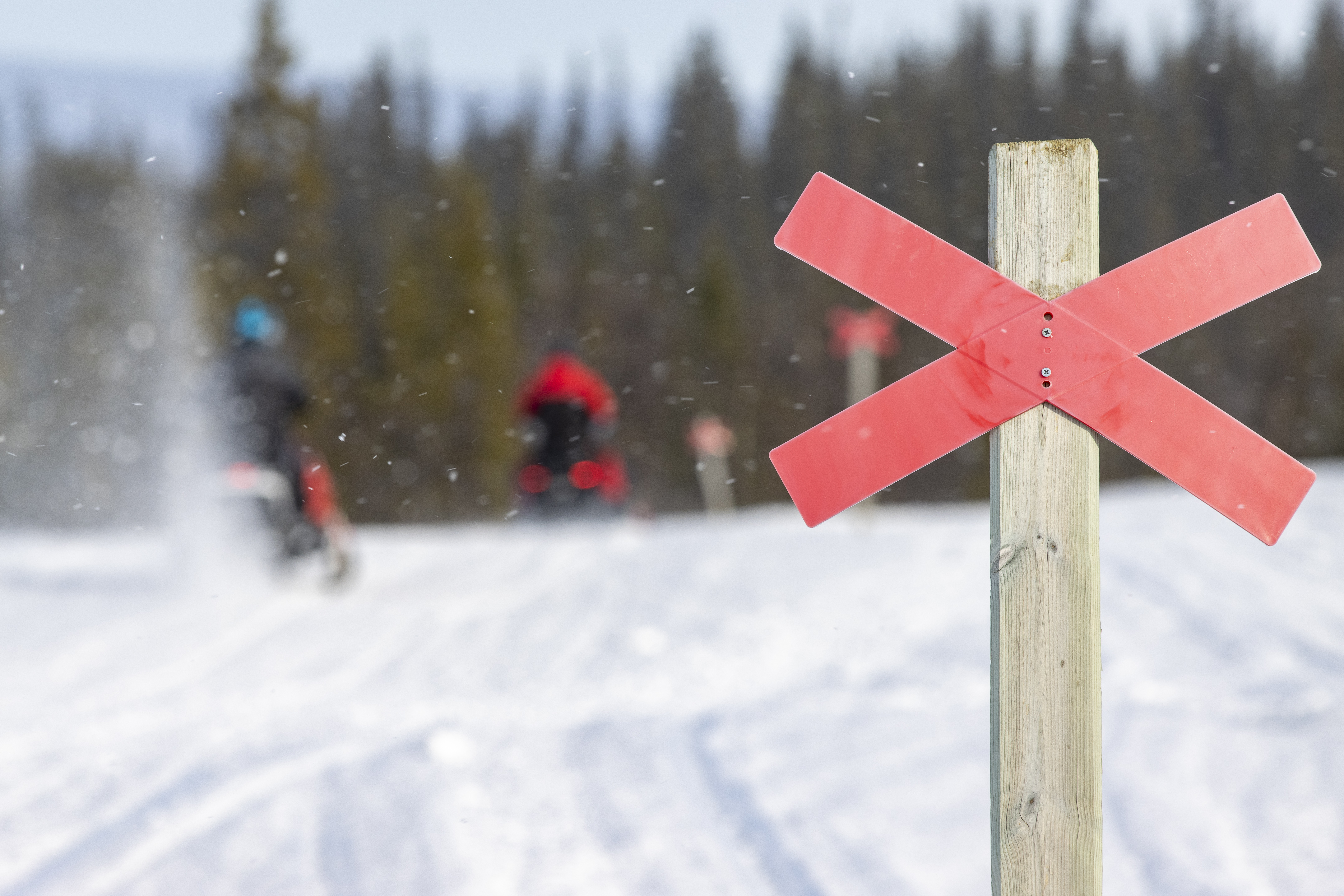Skoterledsmarkering med snöskotrar i bakgrunden